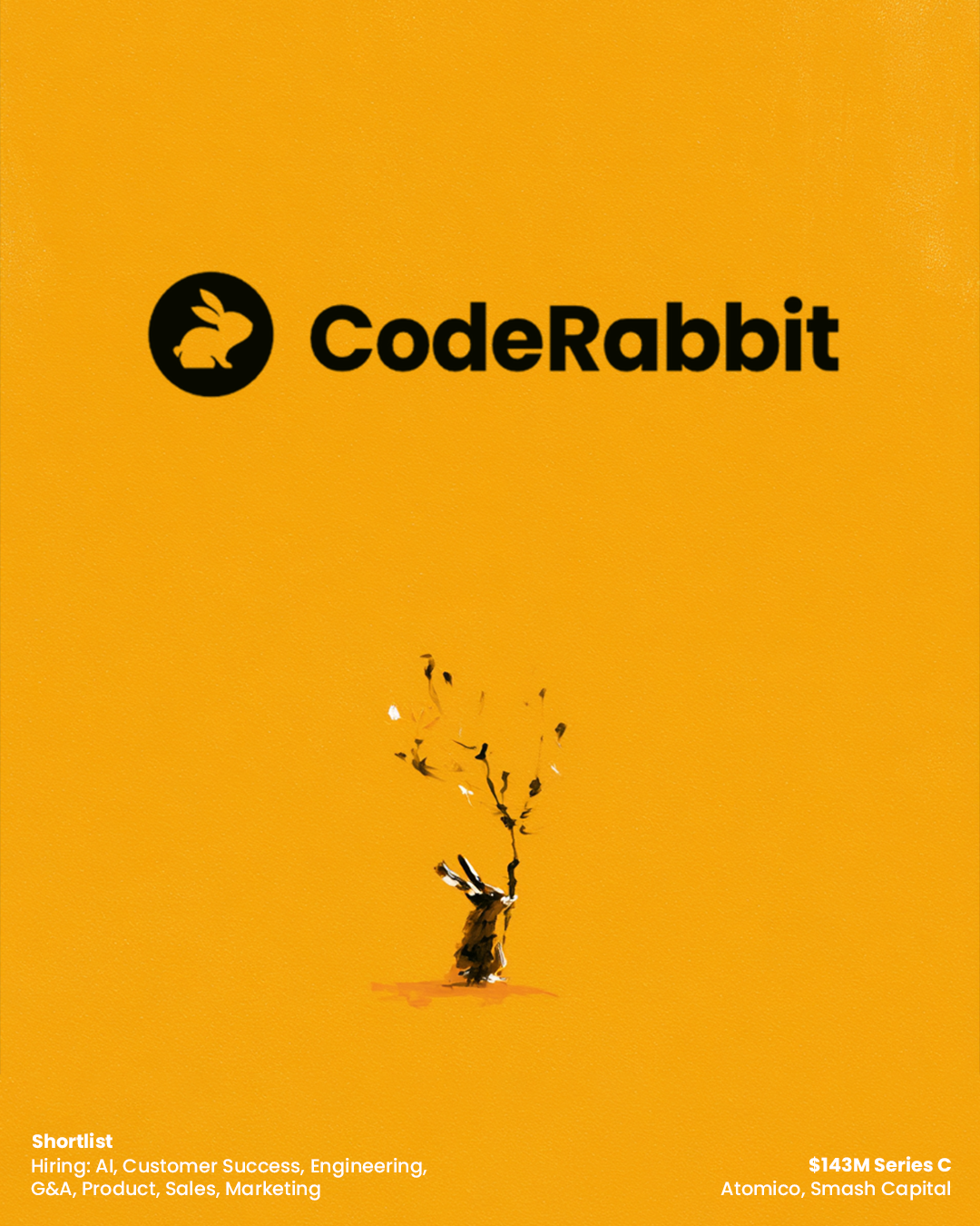 Code Rabbit