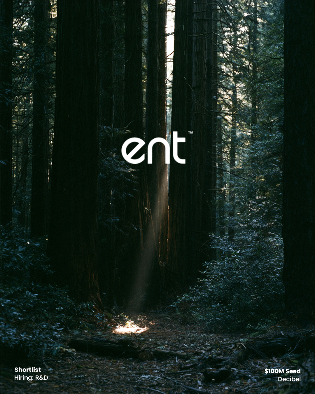 Ent Security