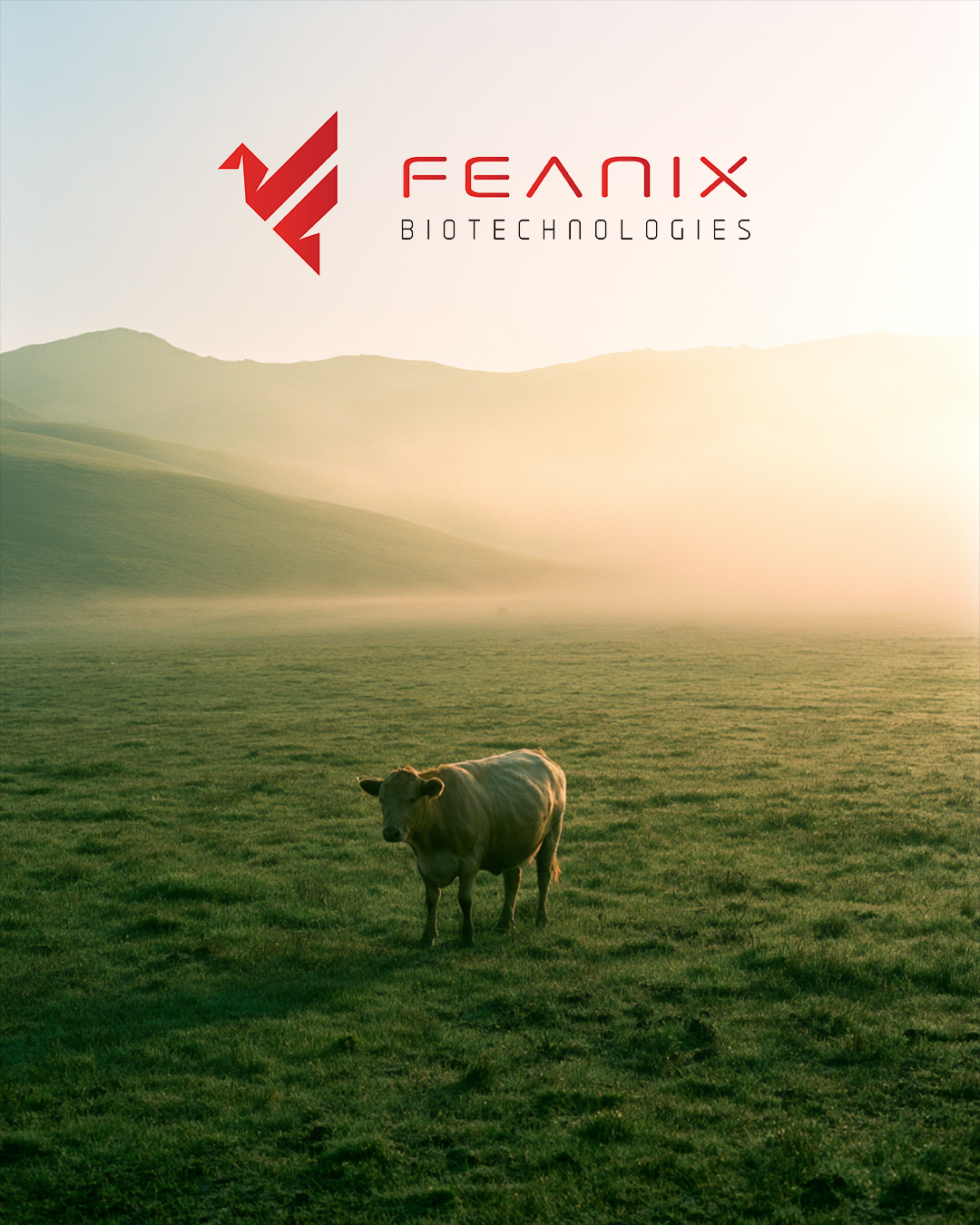 Feanix