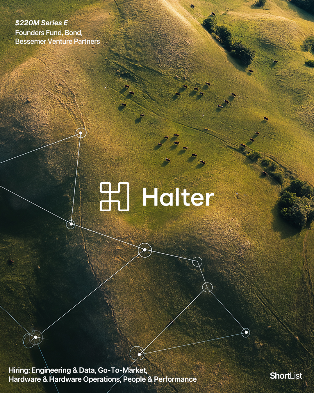 Halter
