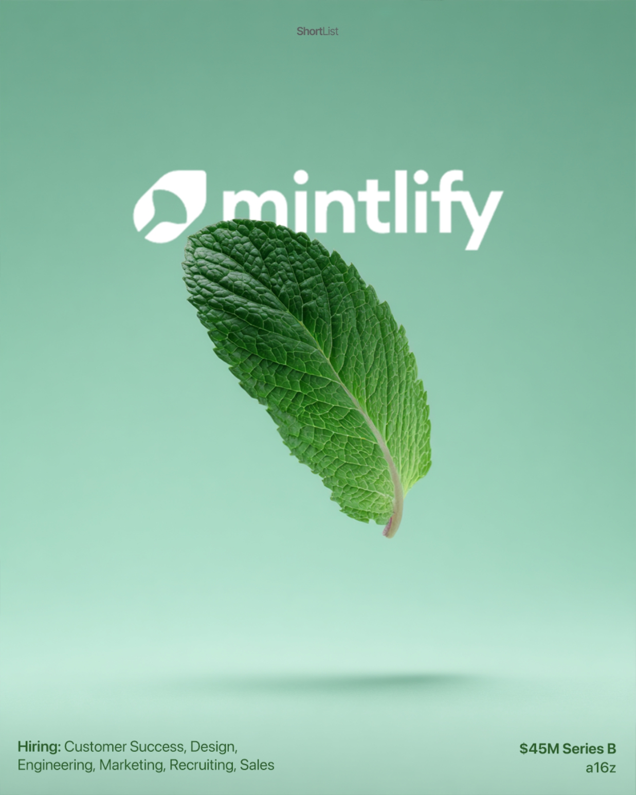 Mintlify