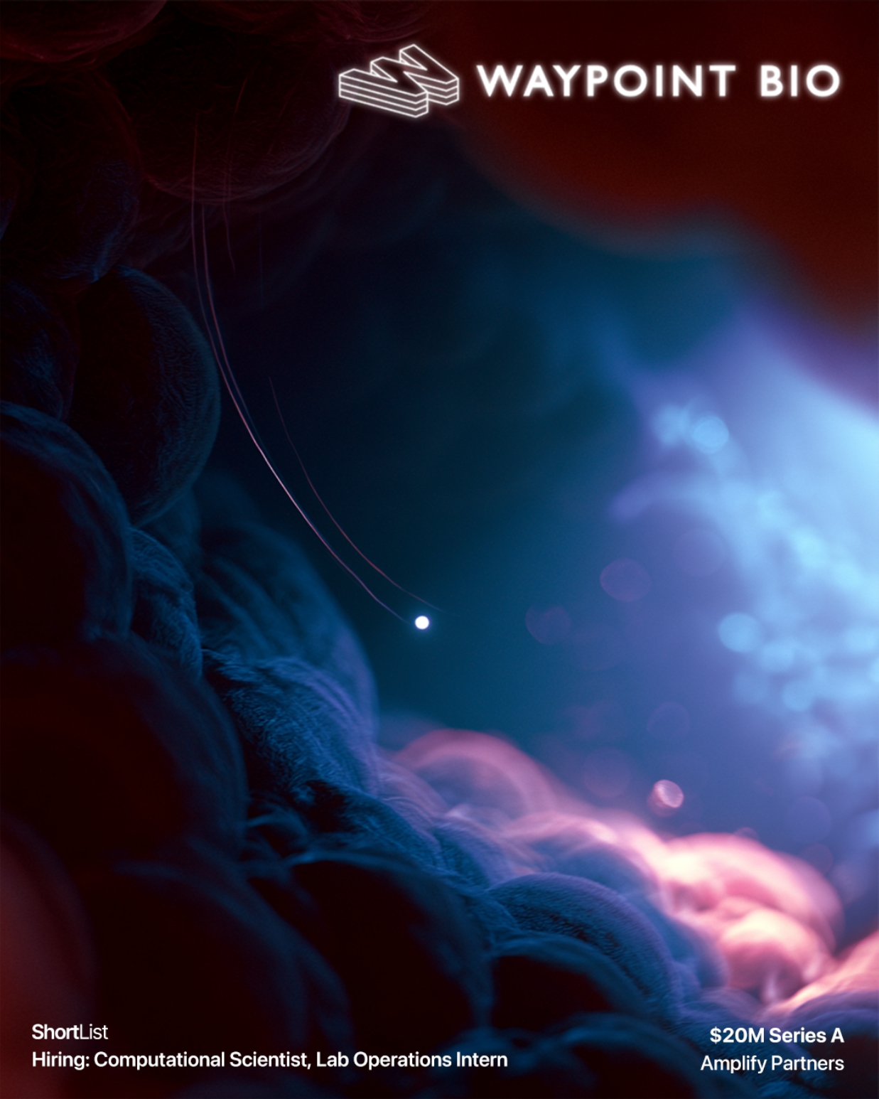 Waypoint Bio