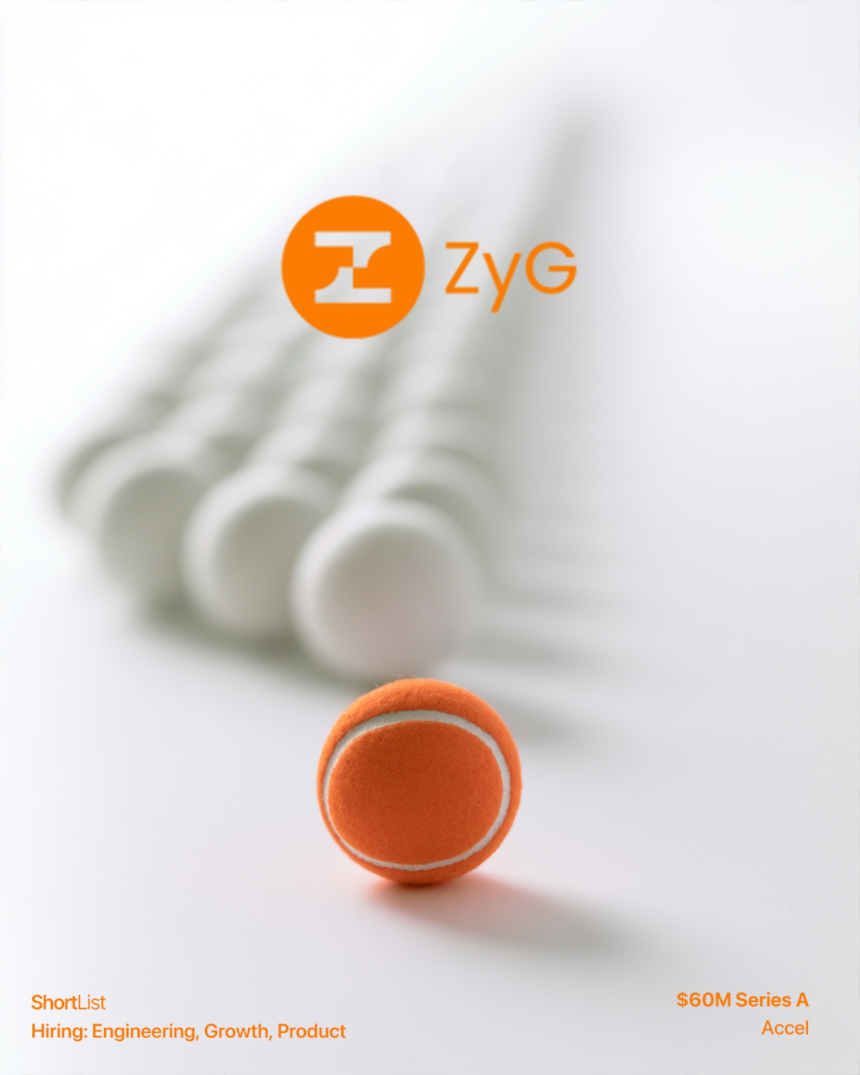 Zyg