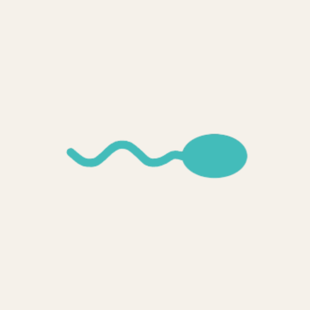 Contraline Inc.  logo