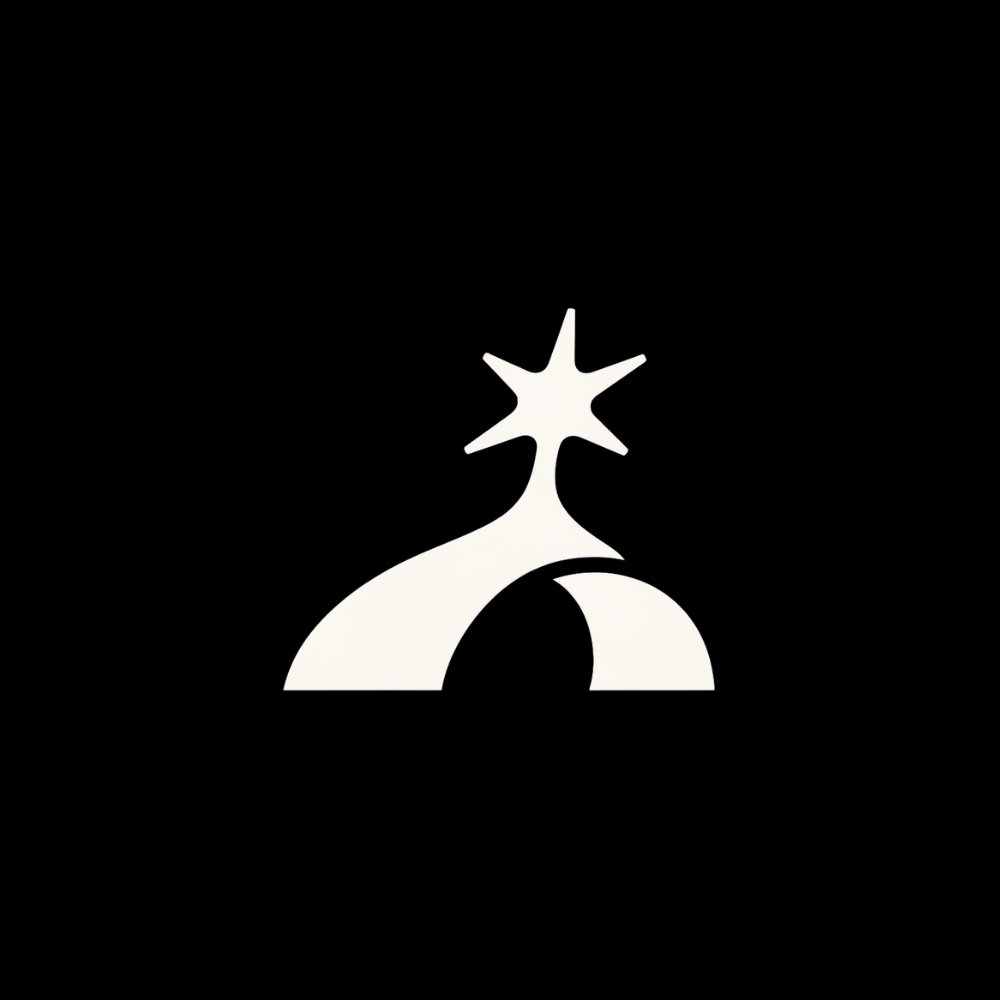 Cowboy Space Corporation logo