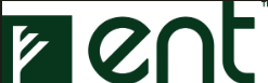 Ent Security logo