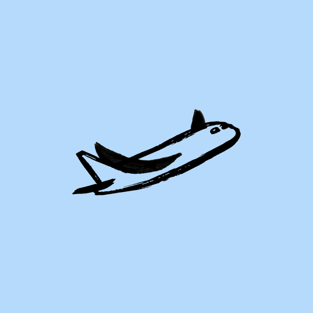 Flapping Airplanes logo