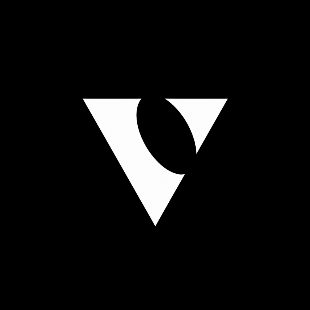 True Anomaly logo